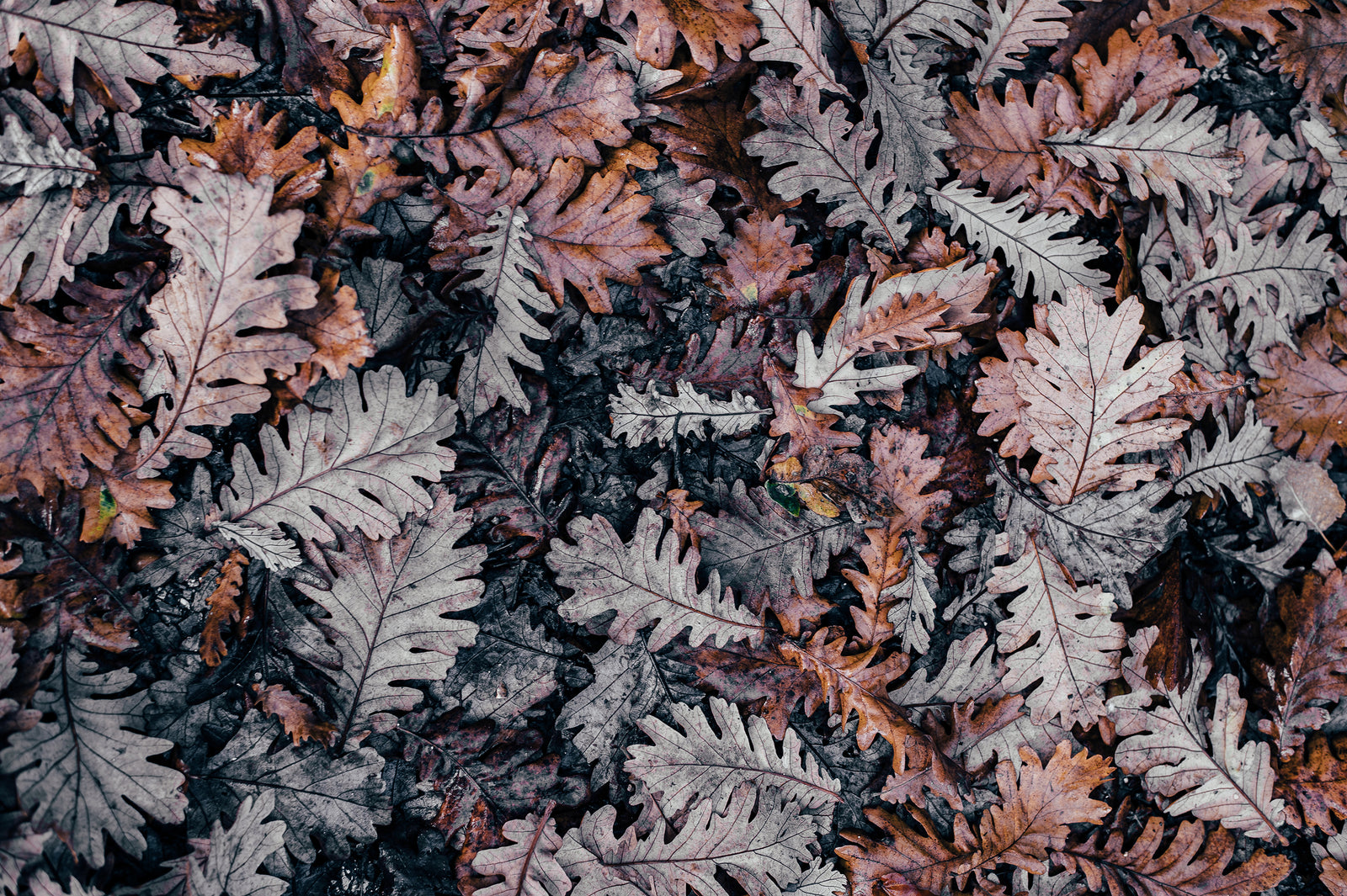 Using Mindful Home Decor To Embrace Fall’s Energy