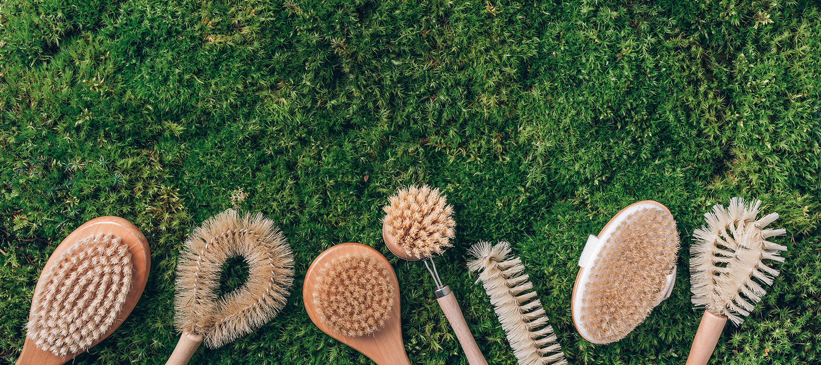 Blending Technology and Nature for a New Approach to Spring Cleaning