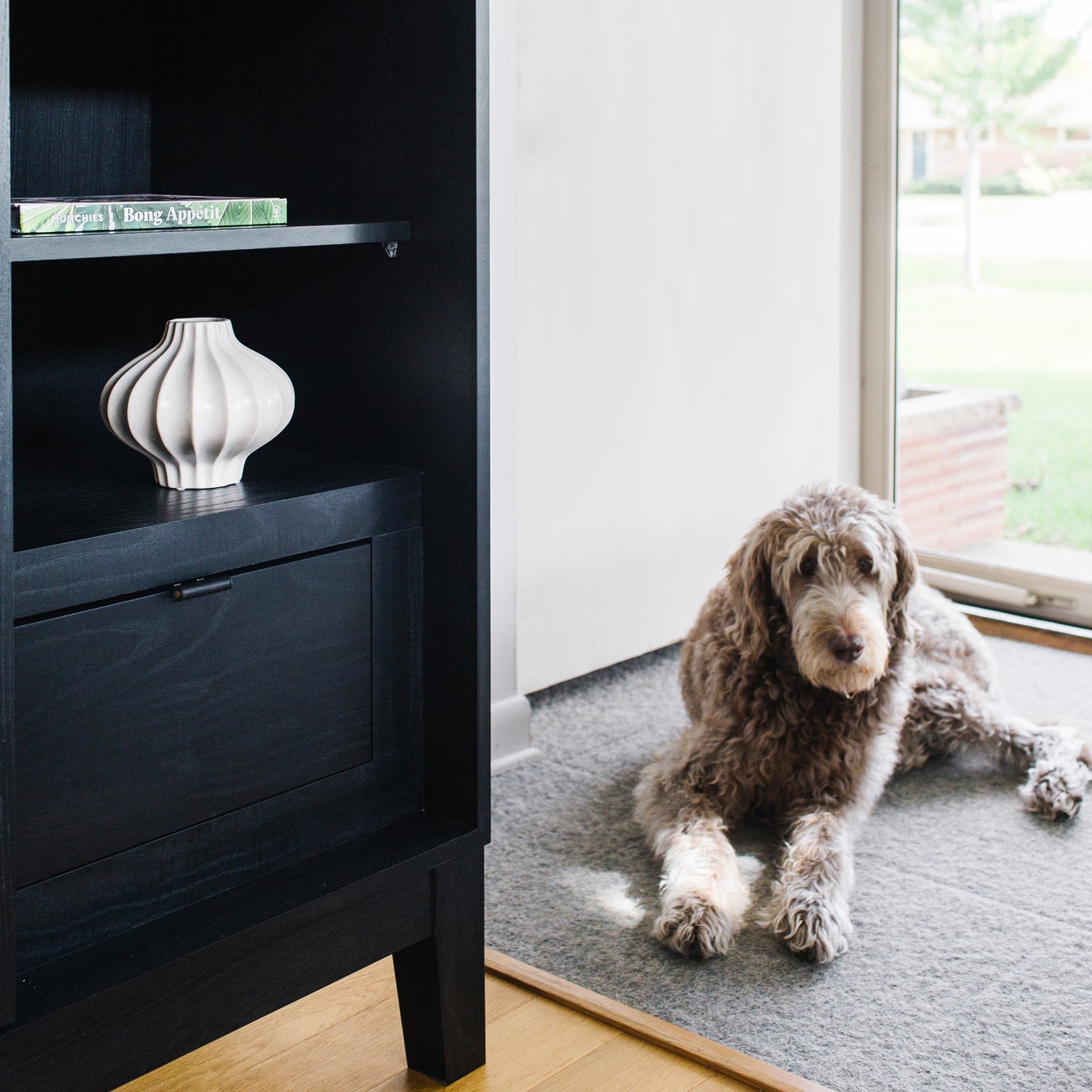 photo of a shaggy dog next to forti goods' Geraldine smart locking cabinet in hash (black) colorway